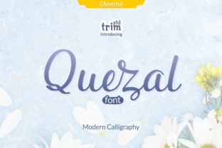 Quezal: A Handwritten Typeface That Brings Personality to Your Web Design