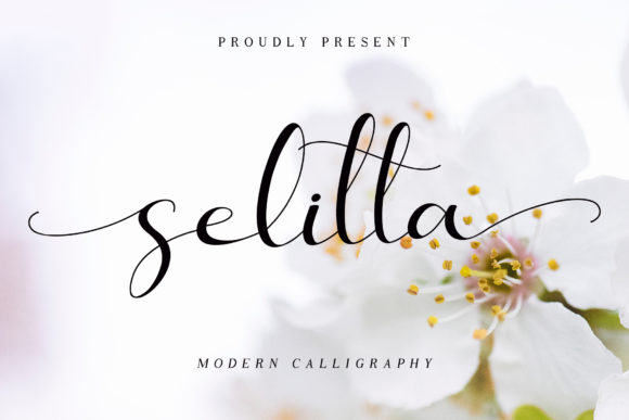 Selitta Font: A Delightful Display Typeface for Web Design