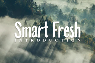Smart Fresh: A Handwritten Typeface for Modern Web Design